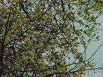 20070309 24.jpg